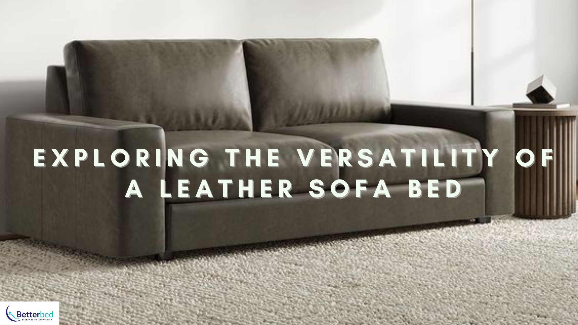 Exploring The Versatility Of A Leather Sofa Bed pertaining to