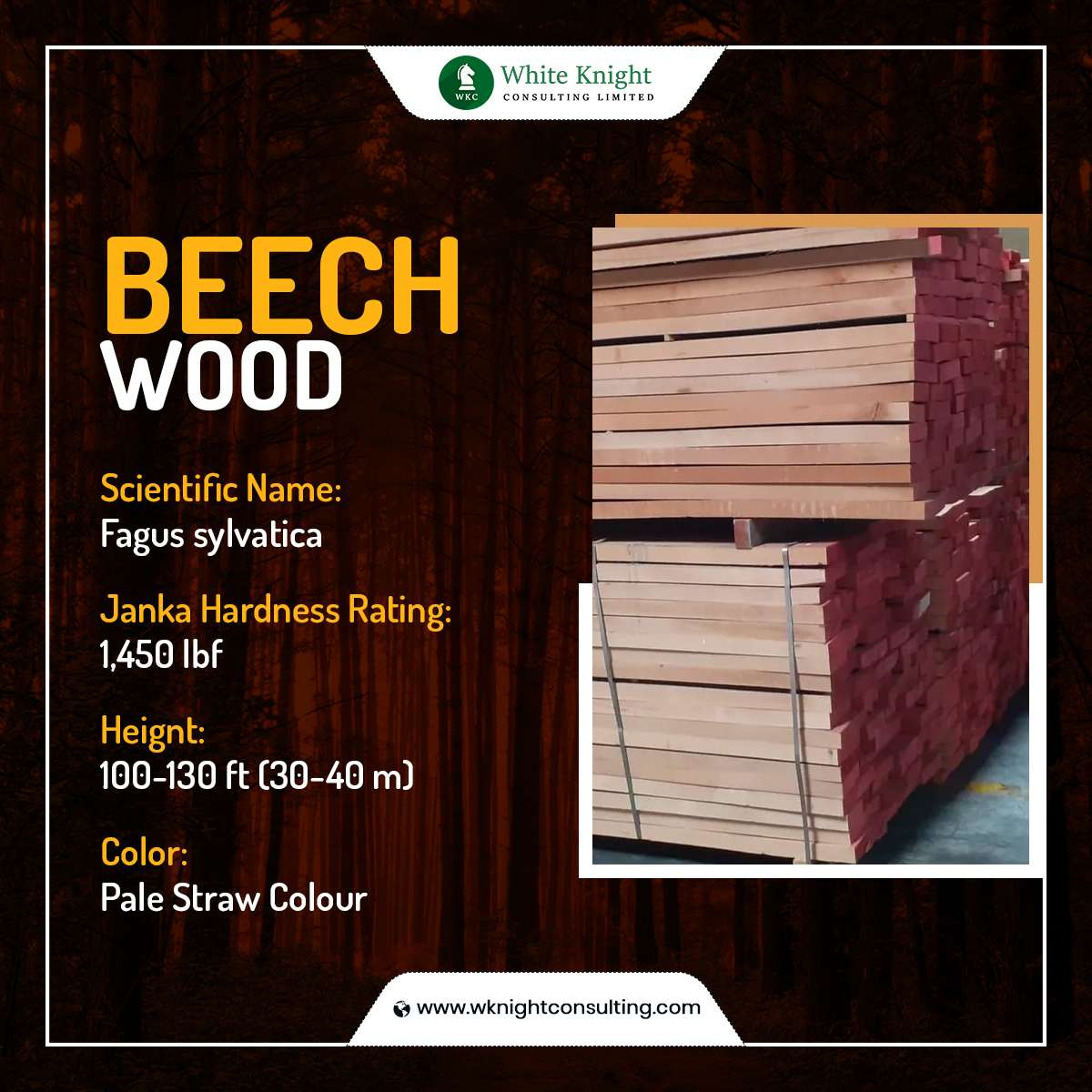 A Practical Guide To Beech Wood Properties And Its Uses inside