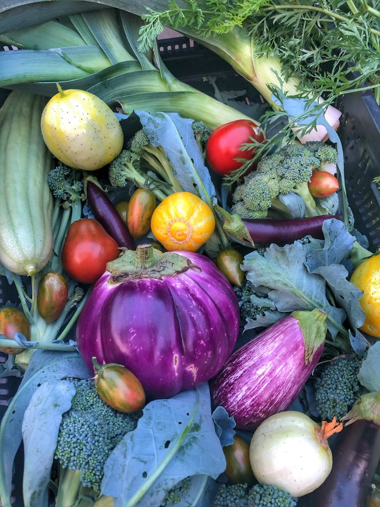 The Subtle Power Of Growing Food - The Beartaria Times with regard to