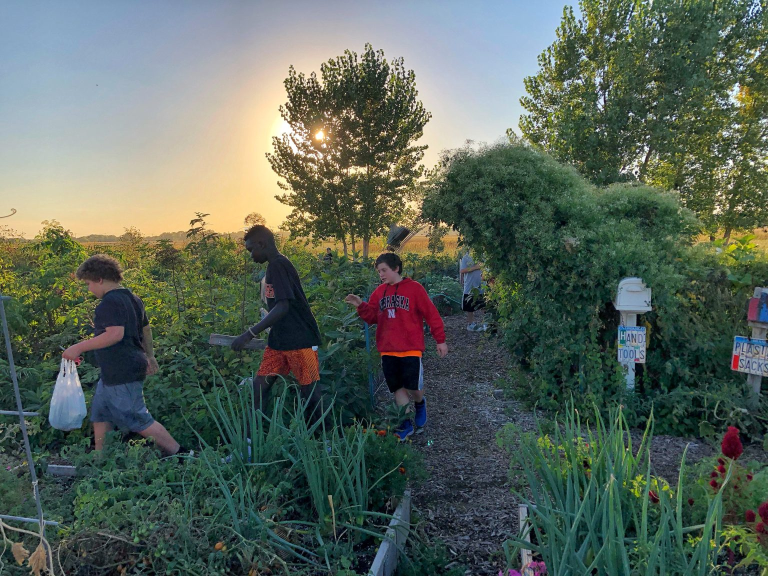 The Subtle Power Of Growing Food - The Beartaria Times with