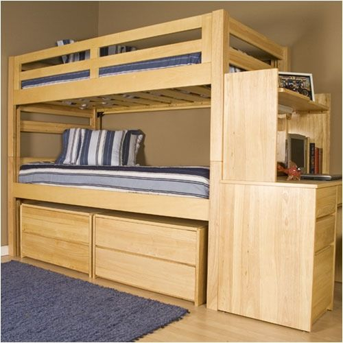 University Loft Graduate Series Twin Xl Bunk Bed Natural Finish | Free ... regarding