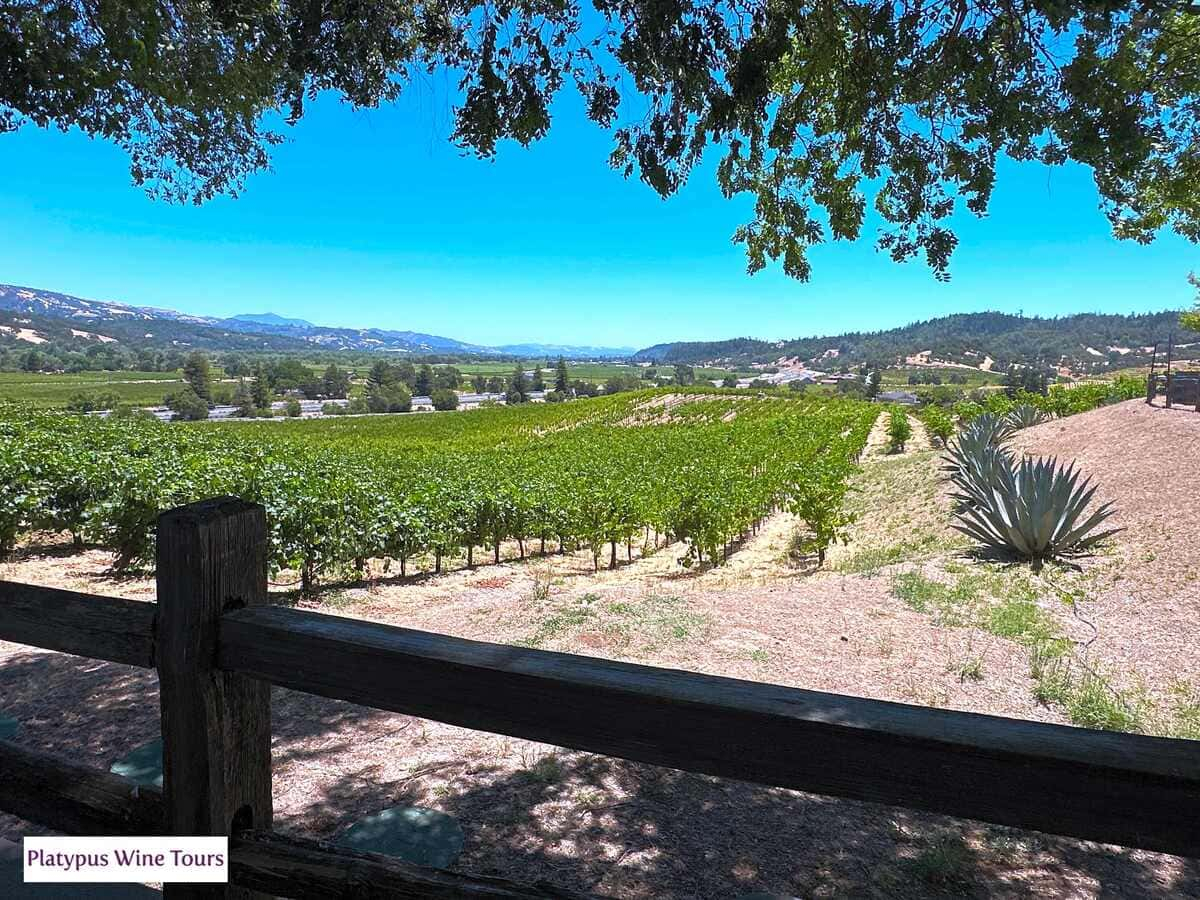 A Deep Dive Into California’s Premier Wine Region: The Napa Valley Ava ... with regard to