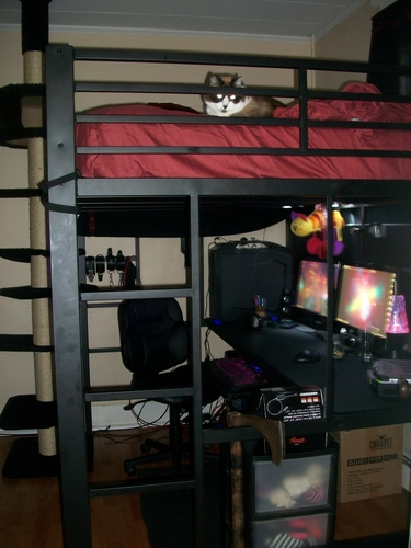 $76/Mo - Finance Coaster Avalon Full Workstation Loft Bed Black | Buy ... inside Unlocking Space Saving with the Coaster Avalon Loft Bed