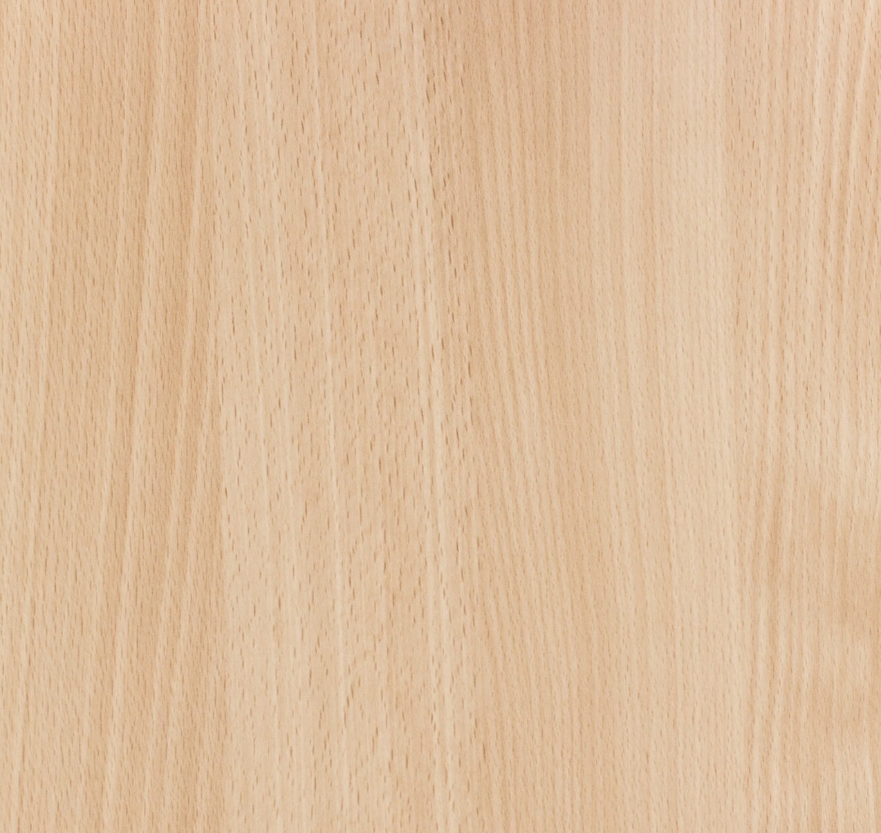Beech Wood: Properties, Colors, Origin & Workability for Creating Lasting Memories with a Beautifully Crafted Beech Wood Wardrobe