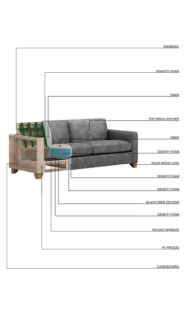Elegant Stationary Sofa For Modern Living Rooms- Sunsgoods with