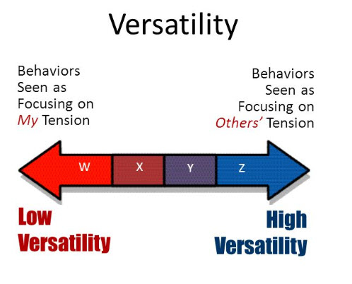 Social Style Coaching To Improve Interpersonal Effectiveness with