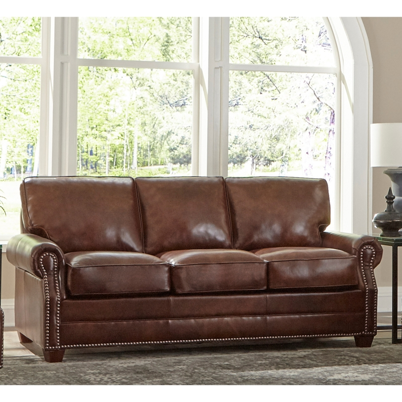 Top Grain Leather Sofa Bed - Designer Review & Photo within