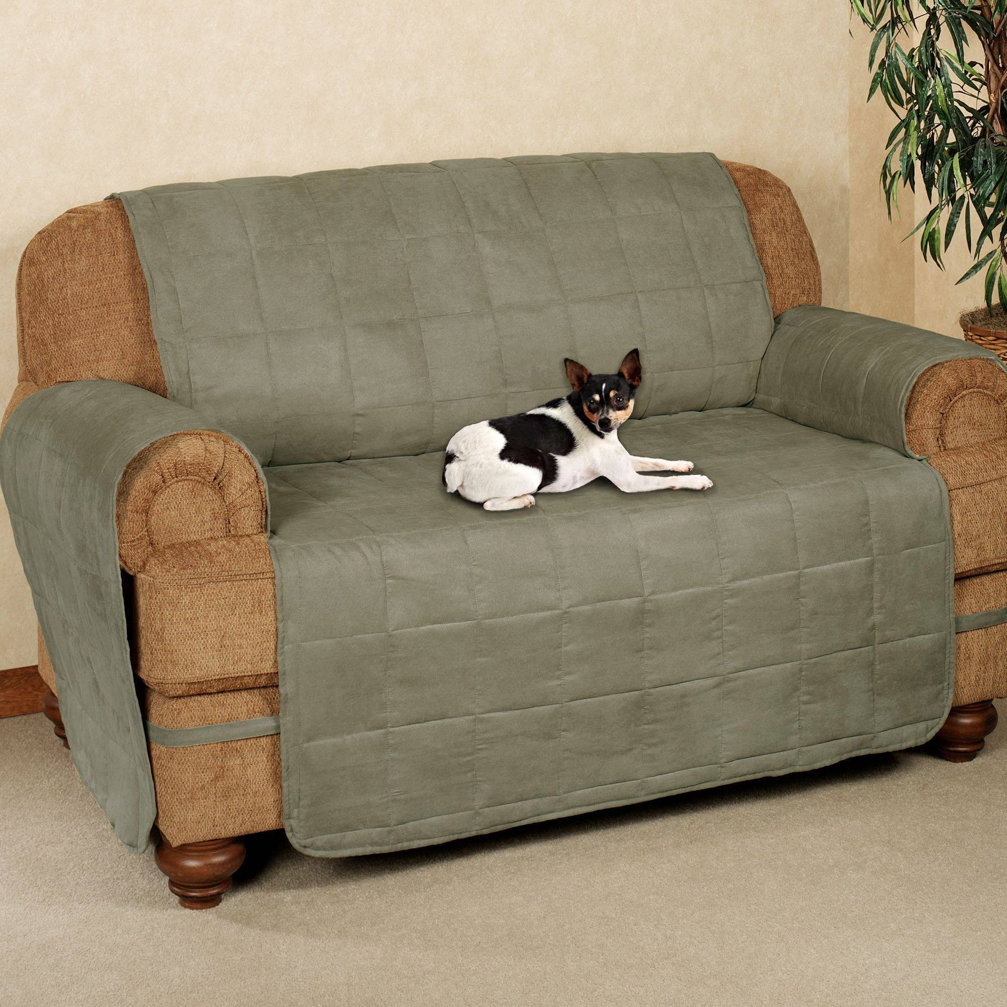 15 Best Choosing The Best Cat-Proof Sofas For Your Home in How to Choose the Best Scratch-Proof Leather Sofa for Your Furry Friends