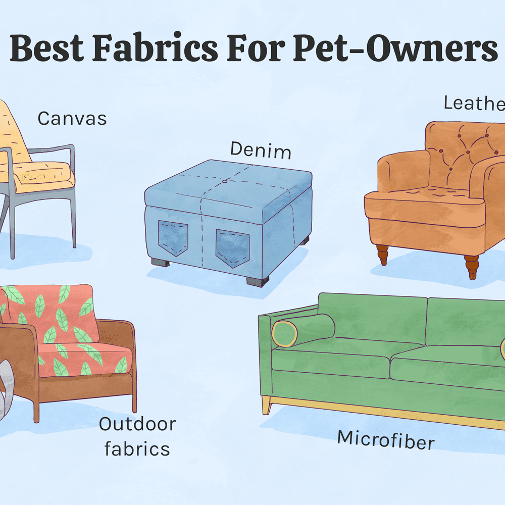 Best Upholstery Fabric For Pets At Bob Bormann Blog throughout What Is The Best Sofa Material For Pets
