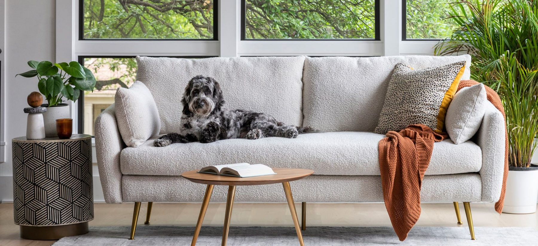 The Best Sofa Fabrics For Dog Owners pertaining to What Is The Best Sofa Material For Pets