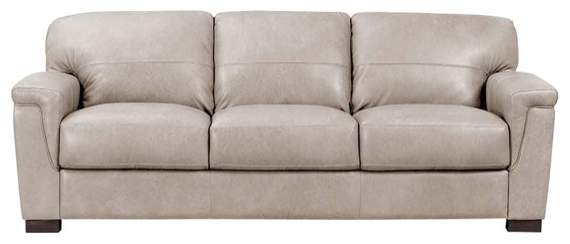 Acme Cornelia Sofa , Beige Leather - Contemporary - Sofas - By Bison ... with Acme Pacific Palisades Sofa In Beige Leather