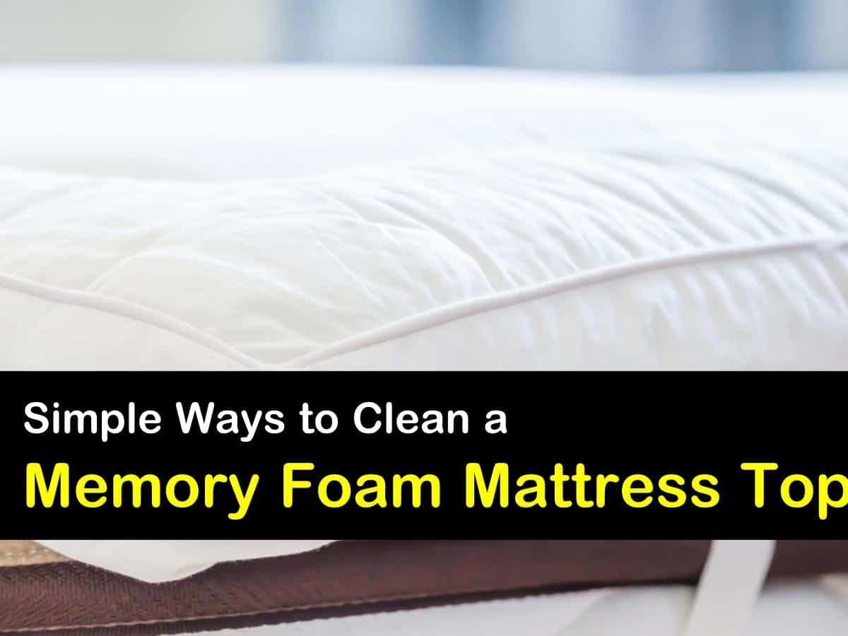 Can Bed Bugs Live On Memory Foam At Makayla Sleath Blog in Bed Bugs And Memory Foam