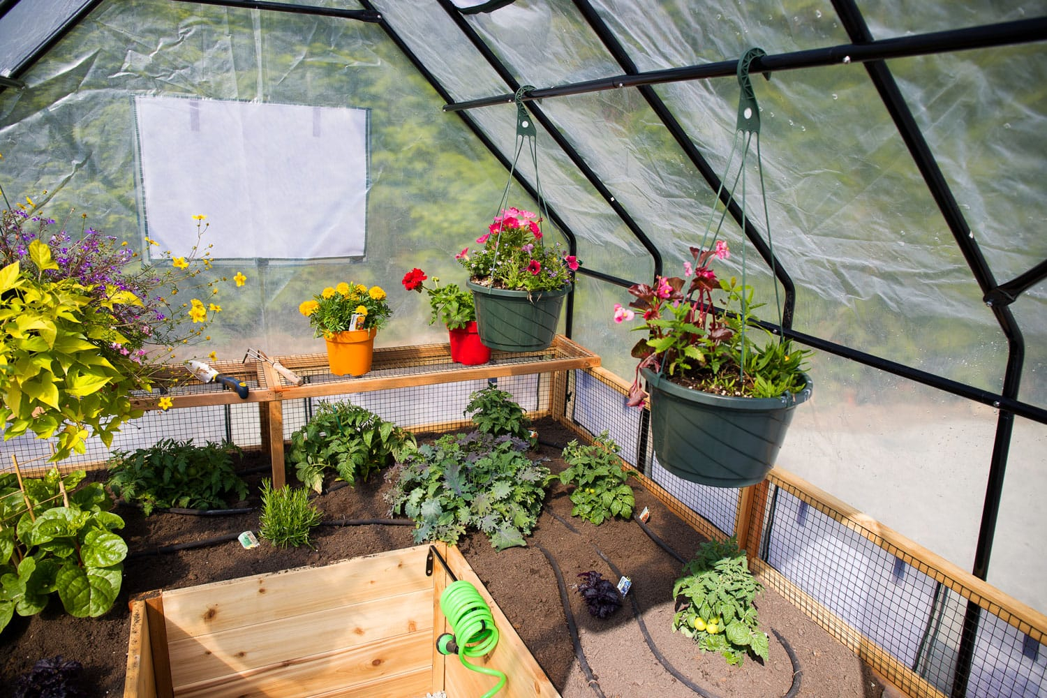 Greenhouse Raised Bed Covers in Greenhouse Covers For Raised Beds