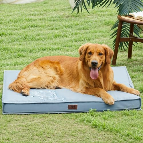 Heated Dog Bed Outdoors At Mary Wilber Blog with regard to Understanding Canine Temperature Regulation Needs