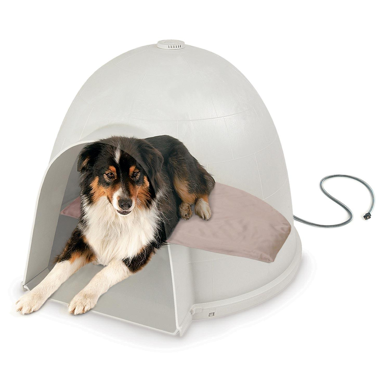 Heated Dog Beds Outdoor Use At Abby Choi Blog for Warm Dog Beds For Outside