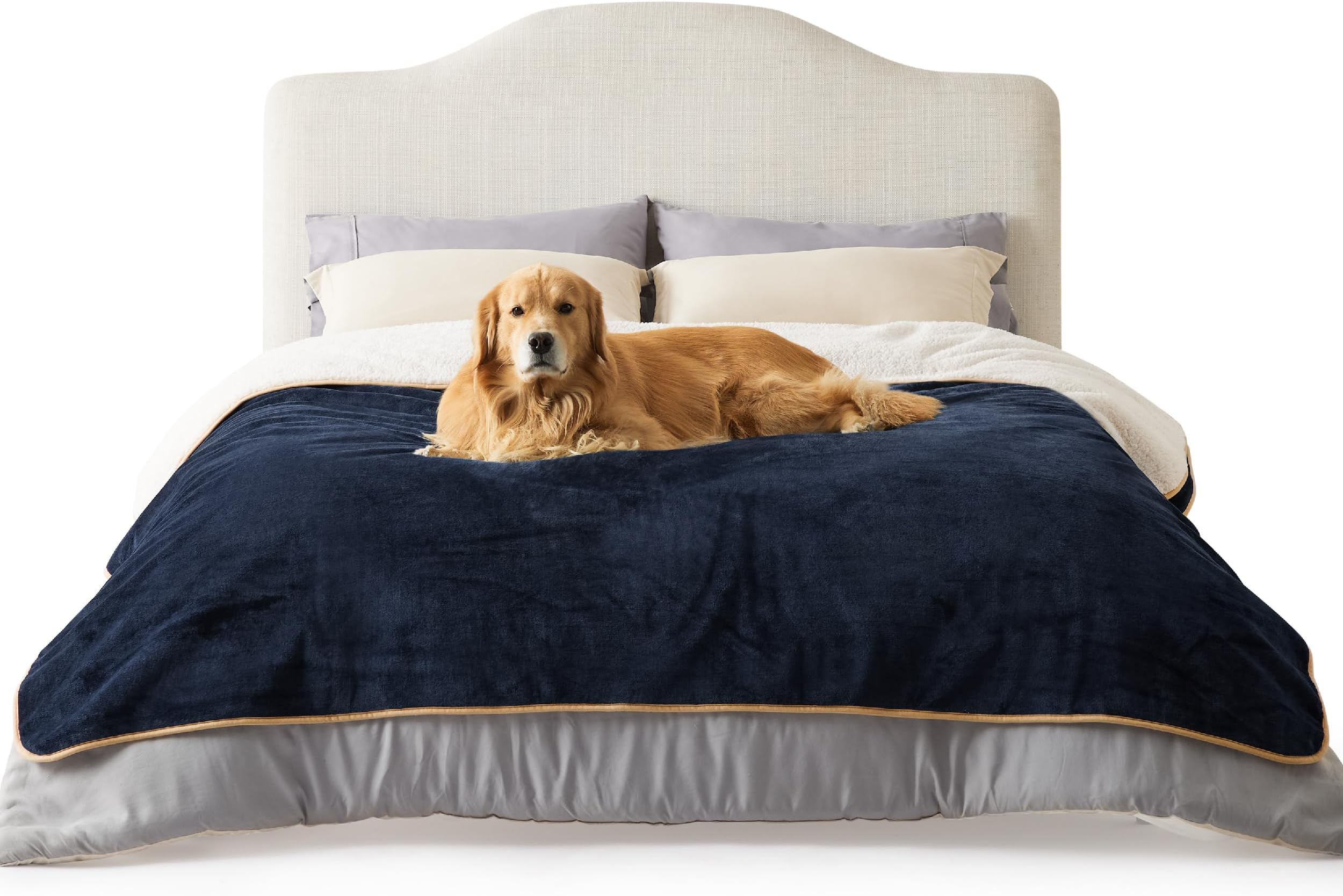 Waterproof Dog Blanket Washable (Xl) - Easy Clean, Premium, Soft ... for Waterproof Dog Blanket For Bed