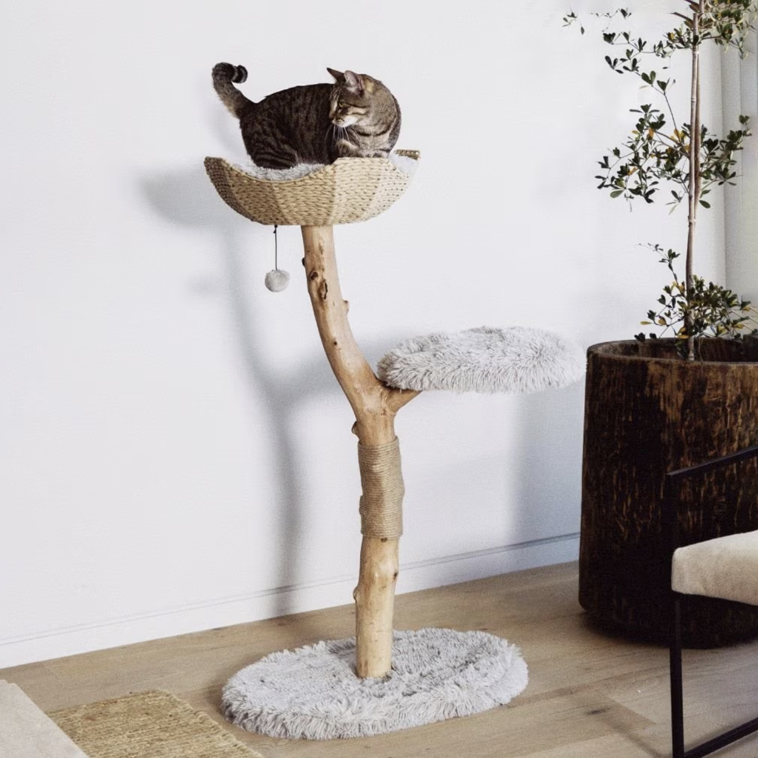 10 Best Modern Cat Trees In 2025 - Reviews & Top Picks - Catster throughout Cat Bed For Cat Tree