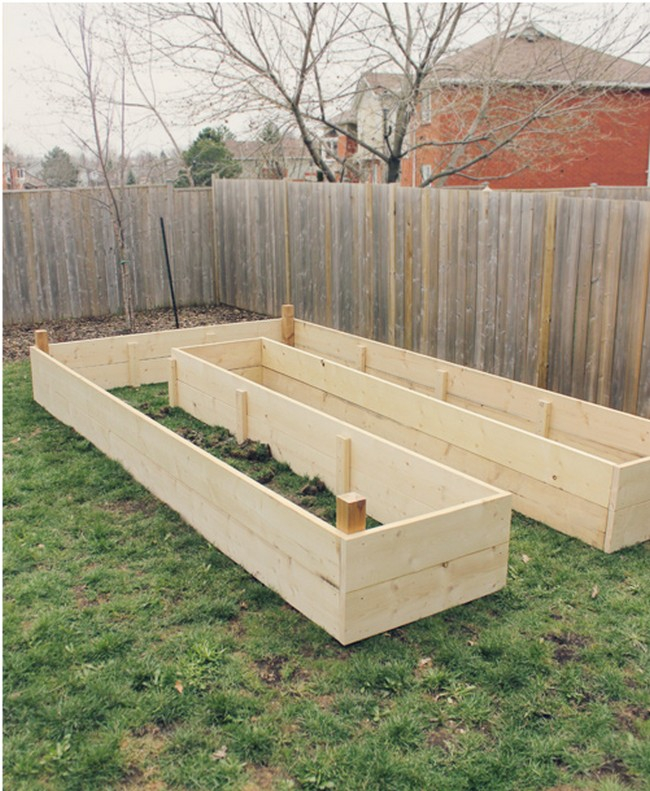 10 Free Diy Cedar Raised Garden Bed Plans For Your Home - Diyncrafty in The ultimate guide to designing and installing cedar plank raised beds