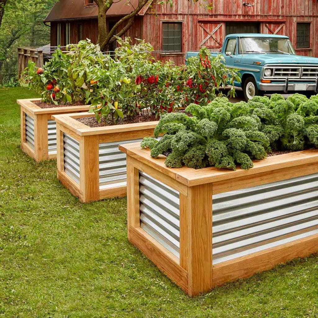 20 Diy Corrugated Metal Raised Garden Beds Ideas You Should Look ... with regard to Metal Raised Garden Beds Made In Usa
