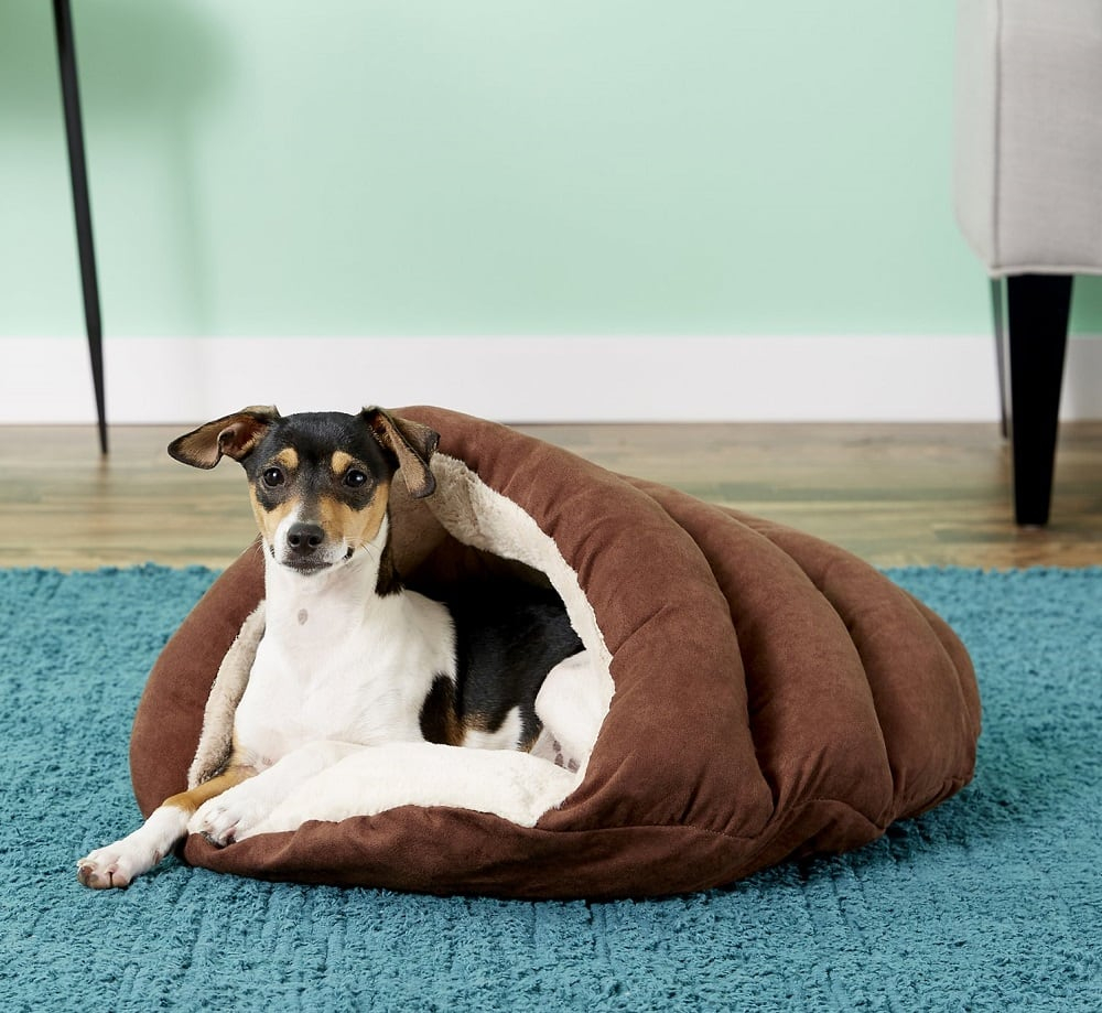 7 Best Dog Cave Beds In 2026 - Reviews & Top Picks – Dogster throughout Cave Dog Beds For Large Dogs