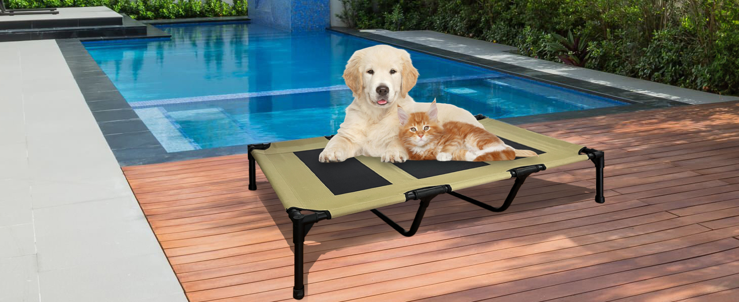 Amazon.com : Fiocco Elevated Dog Bed - Heavy Duty Dog Cot, Washable ... inside Expert Insights on Choosing the Right Size Raised Bed for Your Dog's Wellness
