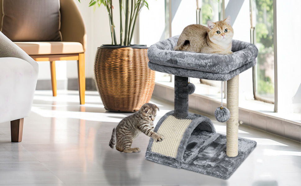 Amazon.com : Small Cat Scratching Post With Bed,Sisal Scratcher Board ... intended for Cat Scratching Post And Bed
