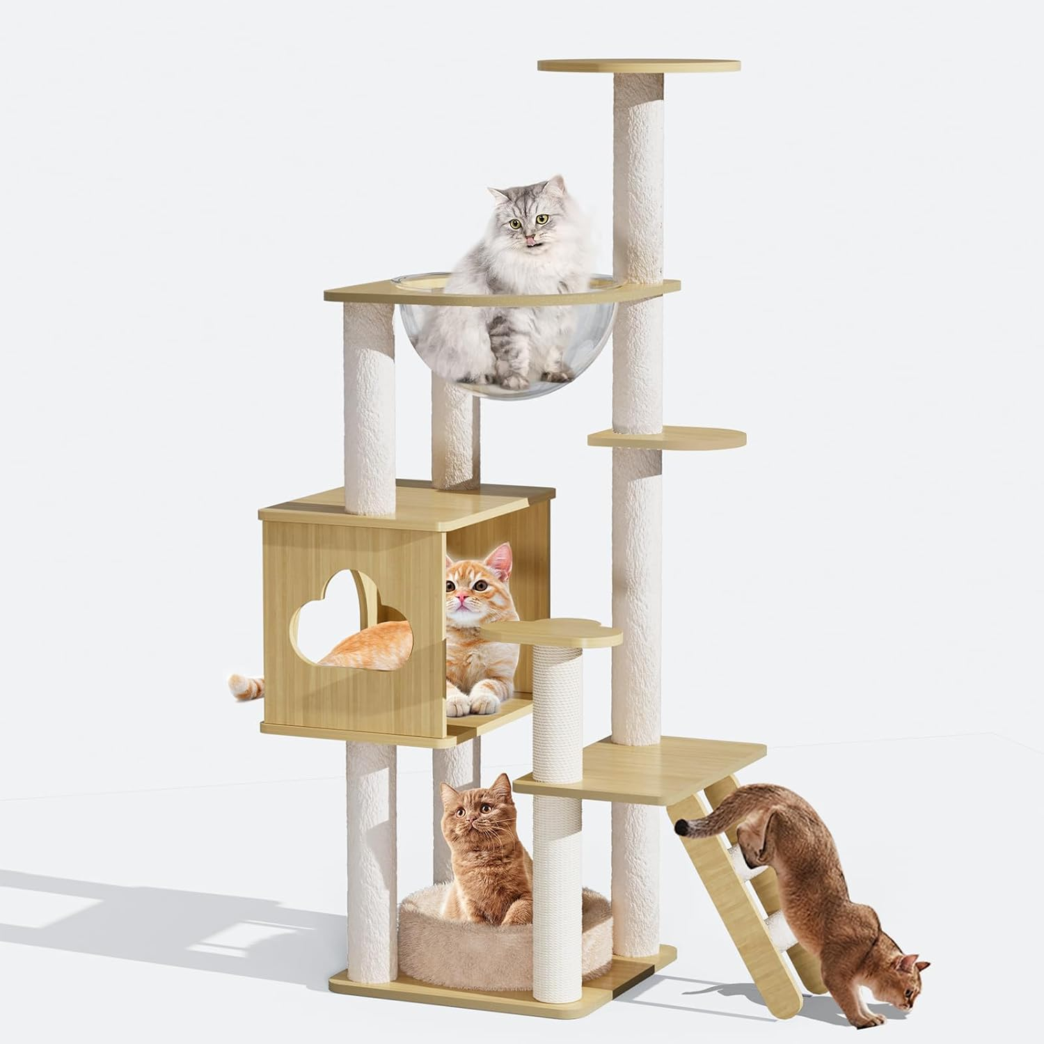 Amazon.com : Sthdofrpaits Modern Wooden Cat Tree, 51In Tall Wood Cat ... for Cat Bed For Cat Tree