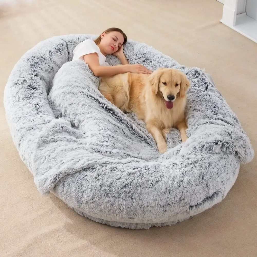 Build Your Comfortable Human Dog Bed In 10 Easy Steps for Understanding Why Dogs Prefer Bed-Like Sleeping Spaces