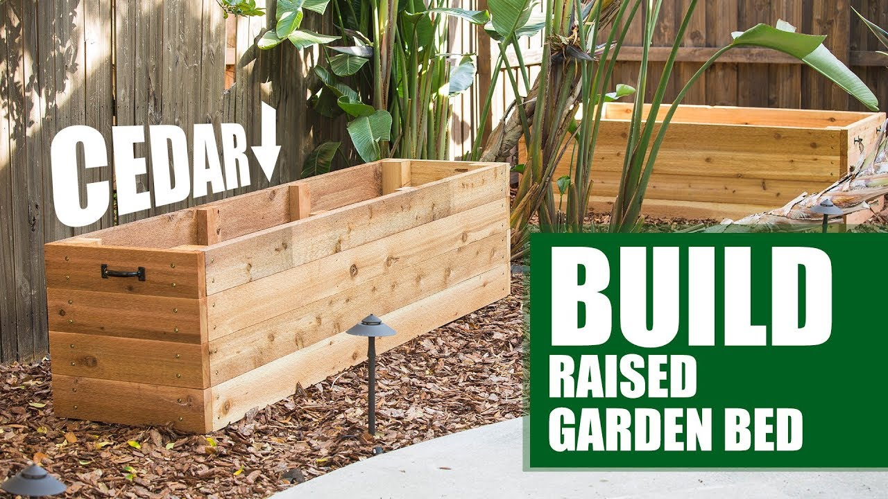 Build Your Own Cedar Raised Garden Bed | Diy - Youtube throughout The ultimate guide to designing and installing cedar plank raised beds