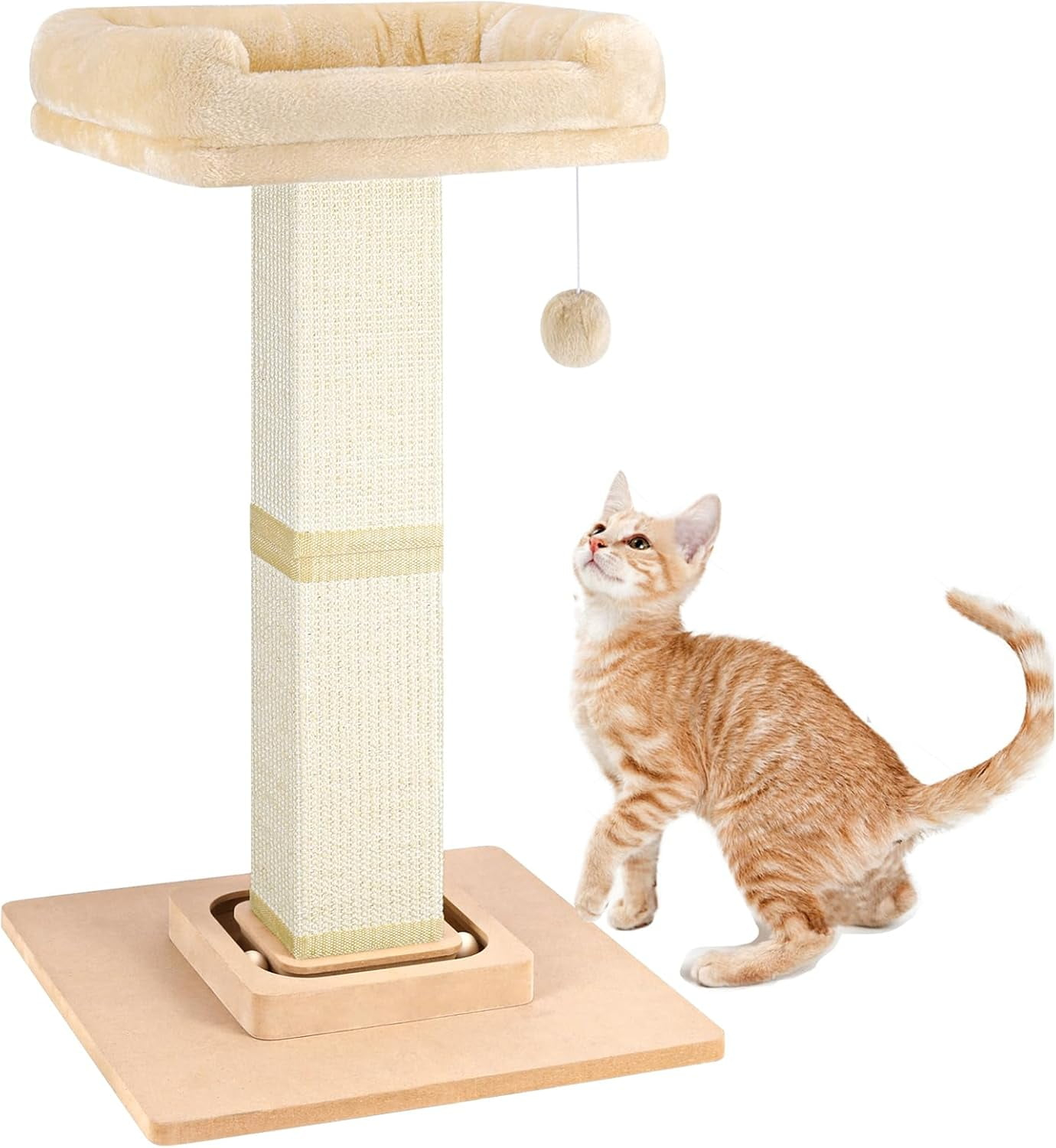Creating the ideal cat sanctuary with scratching posts and beds