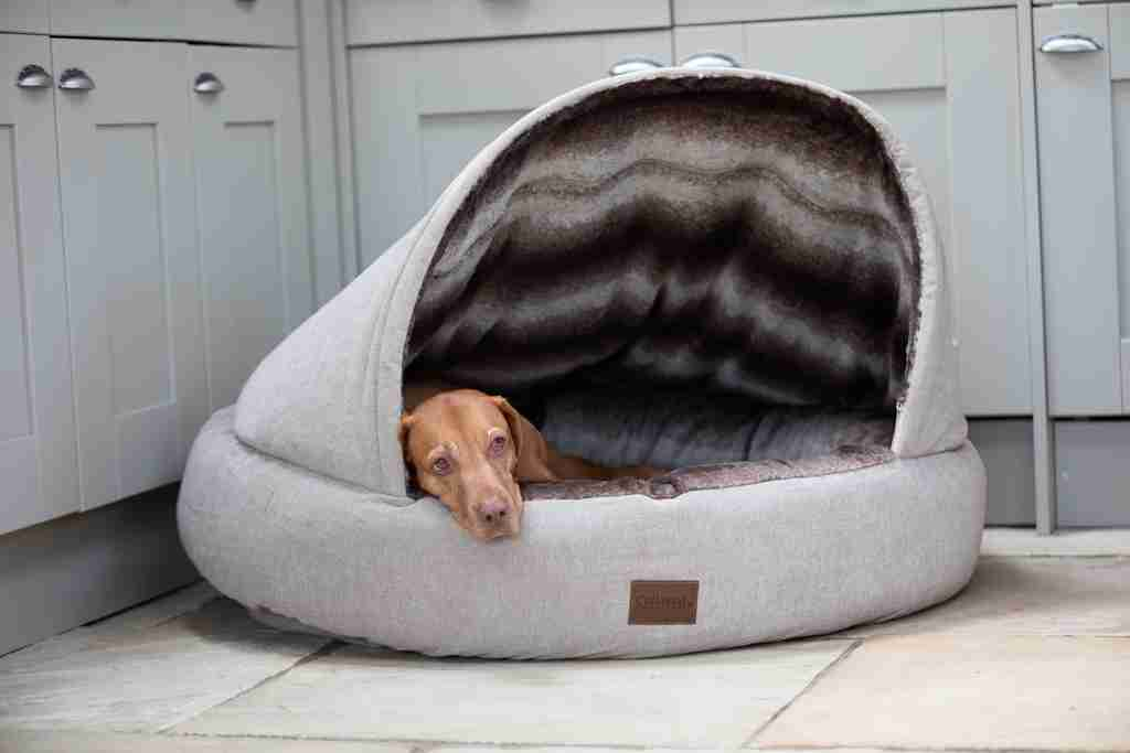 Cave Bed For Big Dogs At Douglas Borba Blog with regard to Cave Dog Beds For Large Dogs