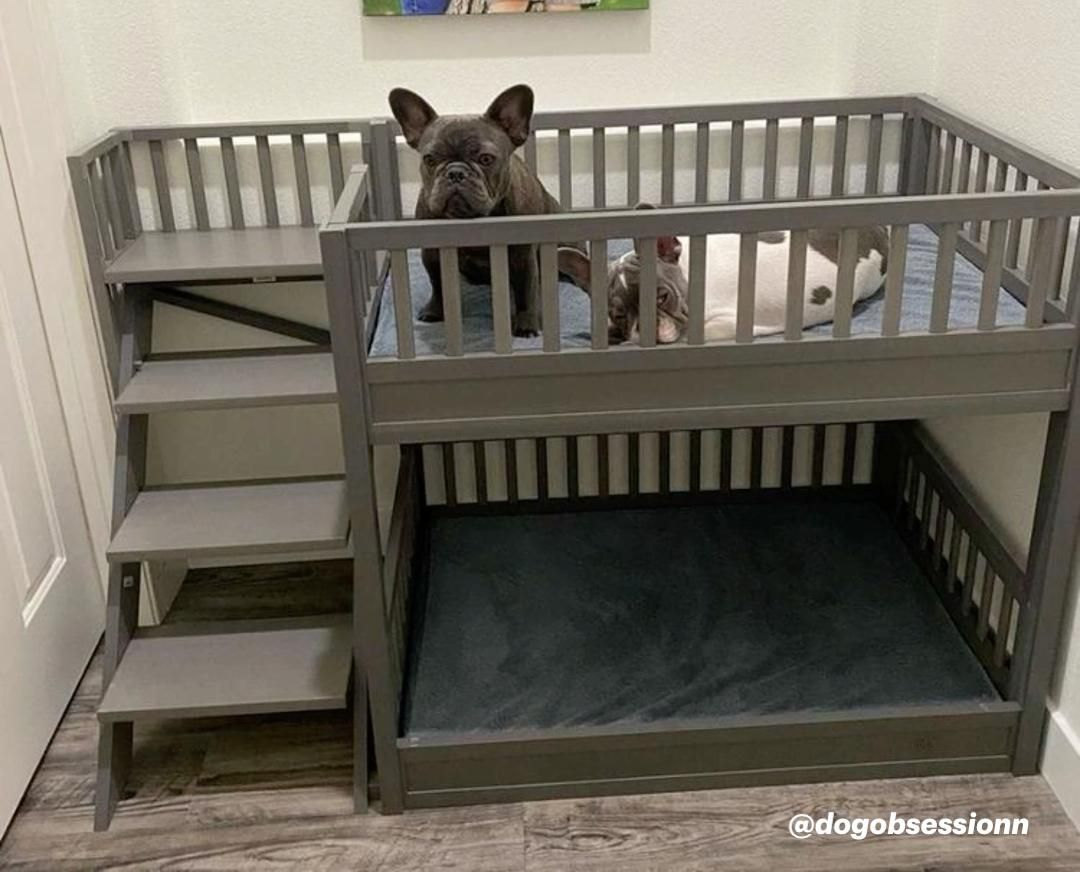 Custom Dog Bunk Bed With Stairs Etsy – Artofit with Custom Bed With Dog Bed
