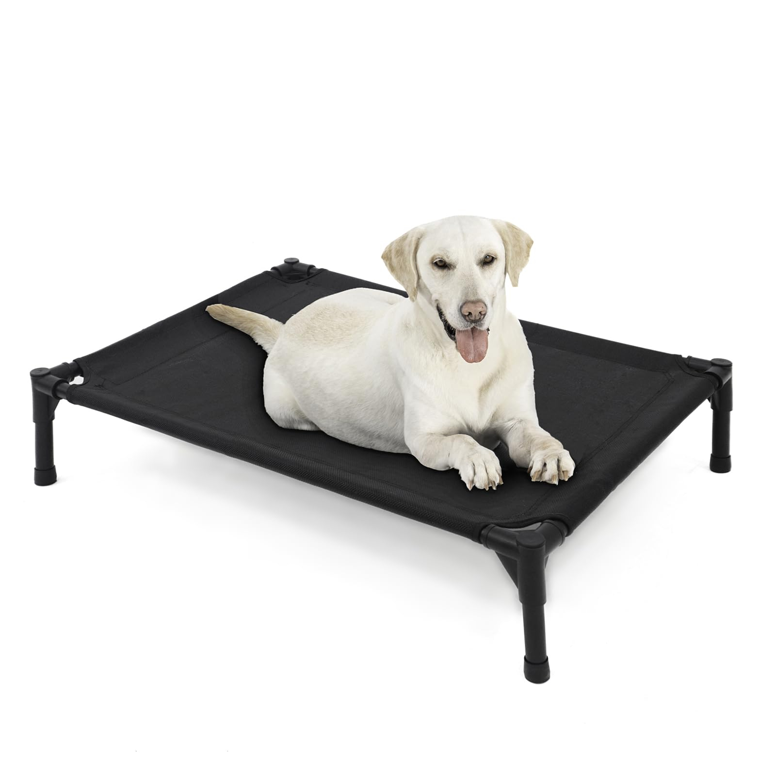 Extra Large Elevated Dog Beds Bingopaw Jumbo Large Orthopedic Dog Bed within X Large Raised Dog Bed