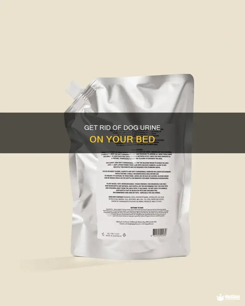Get Rid Of Dog Urine On Your Bed | Medshun inside How To Get Dog Pee Out Of Bed