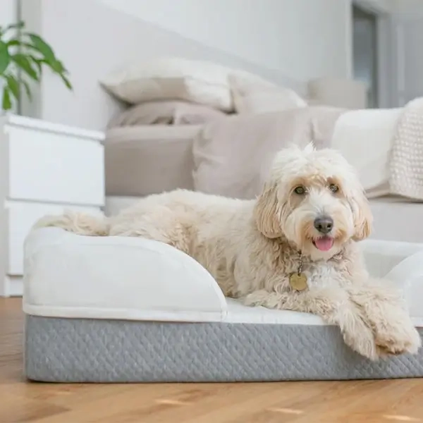 Orthopedic Dog Bed With Memory Foam Base And Support Foam for Orthopedic Dog Bed Memory Foam