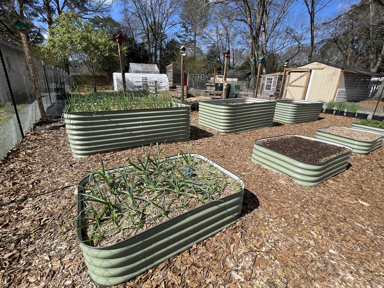 Raised Garden Beds Made In Usa At Josephine Blumberg Blog pertaining to Metal Raised Garden Beds Made In Usa