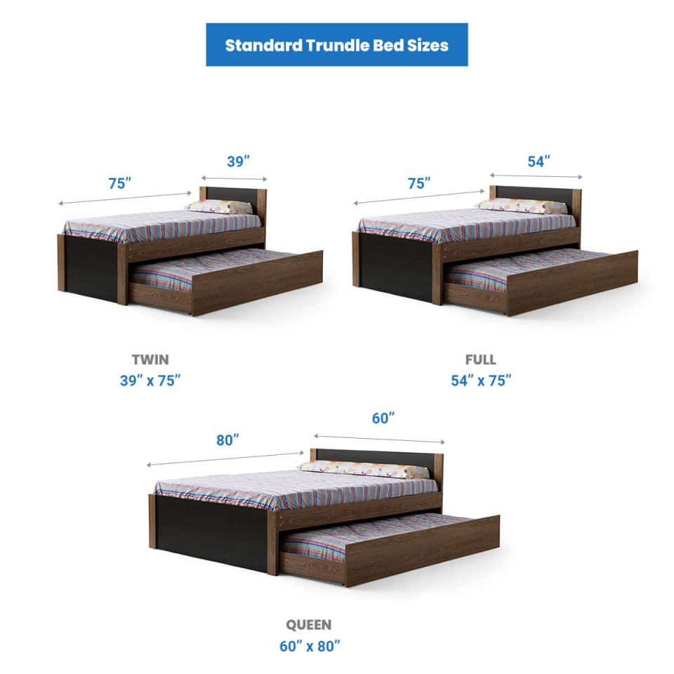 Trundle Bed Dimensions (Standard Height & Width) intended for What Size Mattress For Trundle Bed