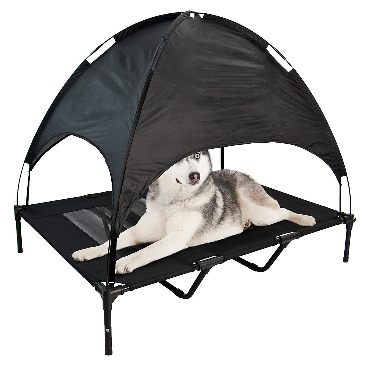 X Large Elevated Dog Bed Pet Raised Camping Cot Mesh With Canopy Cover with X Large Raised Dog Bed