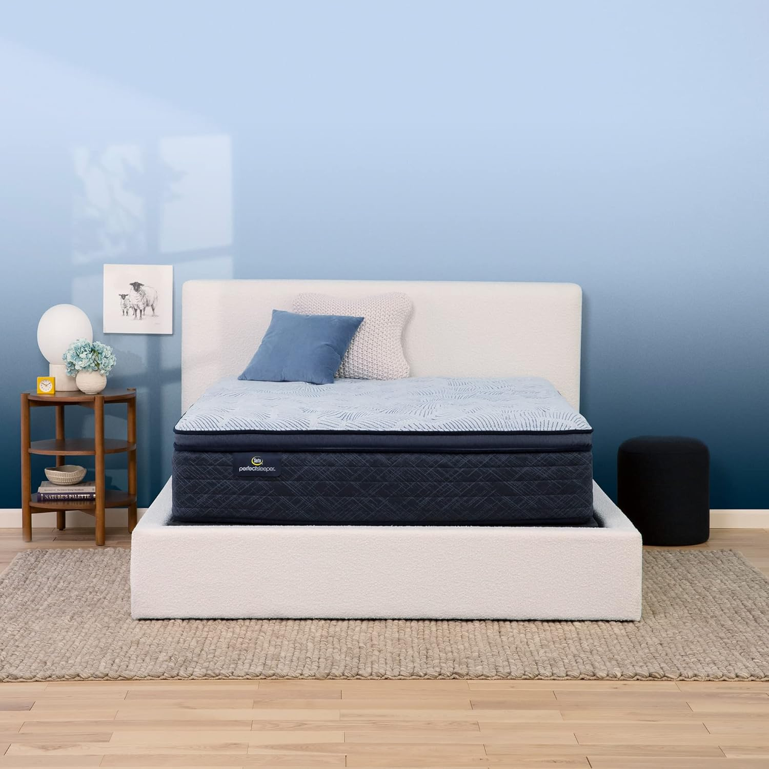 Amazon.com: Serta Perfect Sleeper Mattress Enhanced 14.5" Queen ... in Queen Pillow Top Mattress Serta