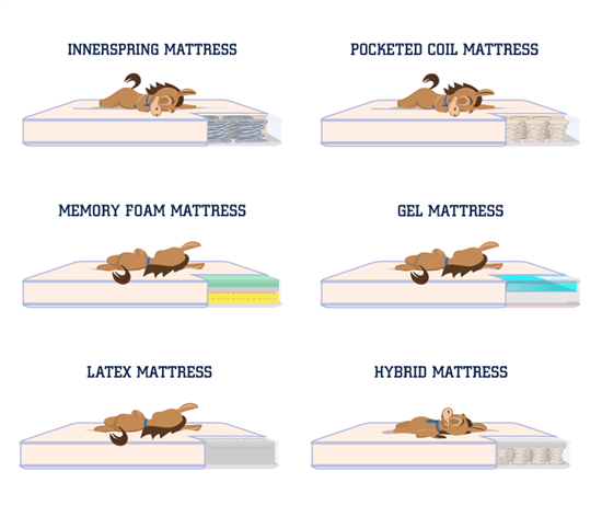 How Long Do Memory Foam Mattresses Last - Jul 15, 2018 · Traditional ... regarding How Long Do Foam Mattresses Last