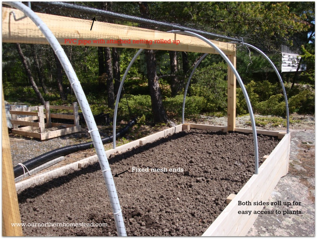 How To Deer Proof A Raised Garden Bed pertaining to Building effective deer proof raised garden beds for backyard gardens