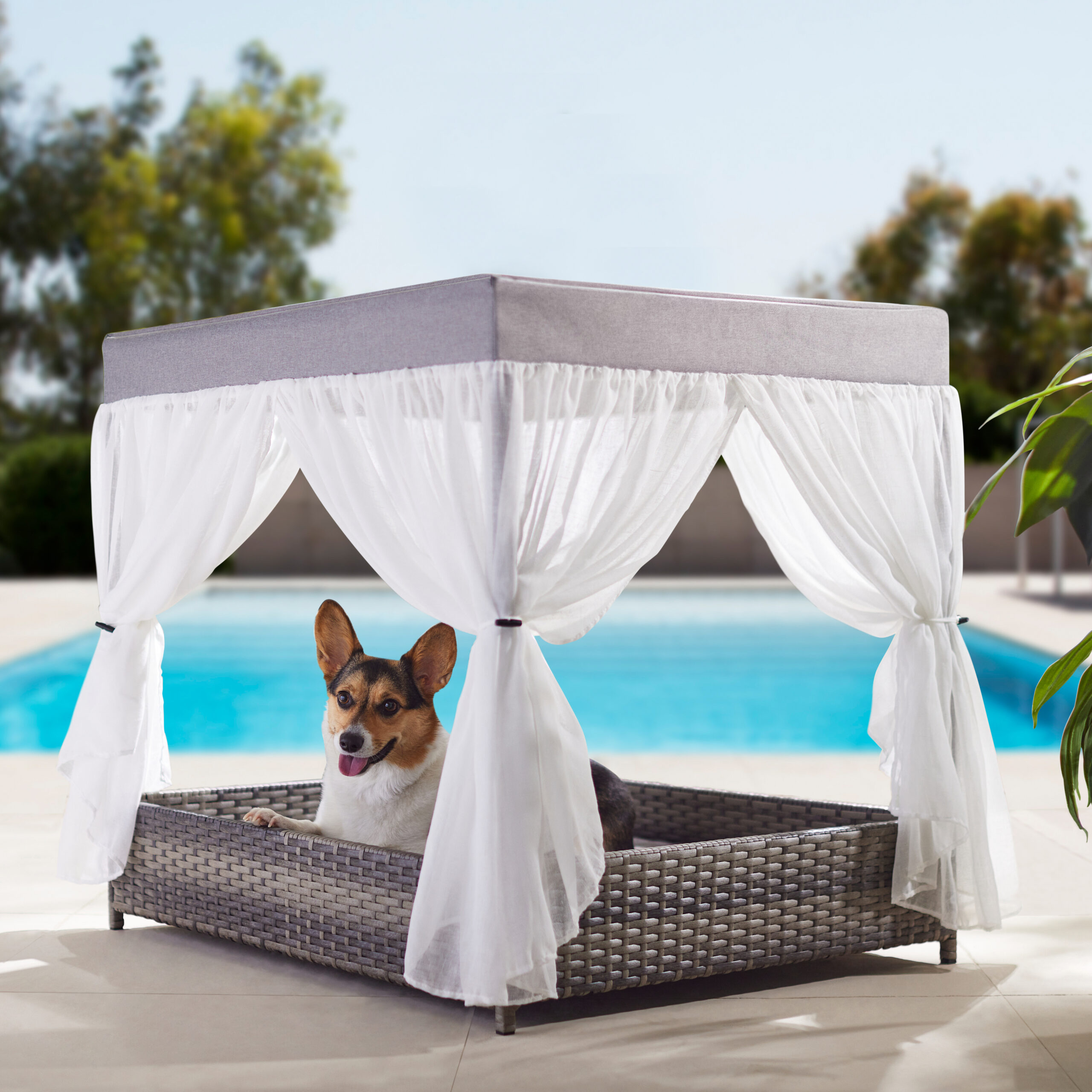 Nap, Play, Lounge: 8 Outdoor Luxuries Your Haute Dog Will Love within Outdoor Dog Bed With Canopy
