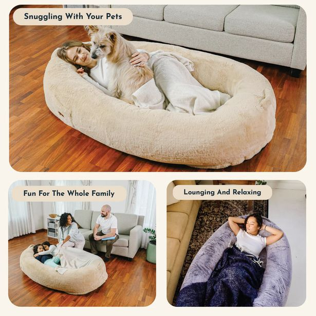 People Can Now Sleep In Human Sized Dog Beds With Their Pets ... in Creating the Perfect Sleep Environment Through Surface Optimization