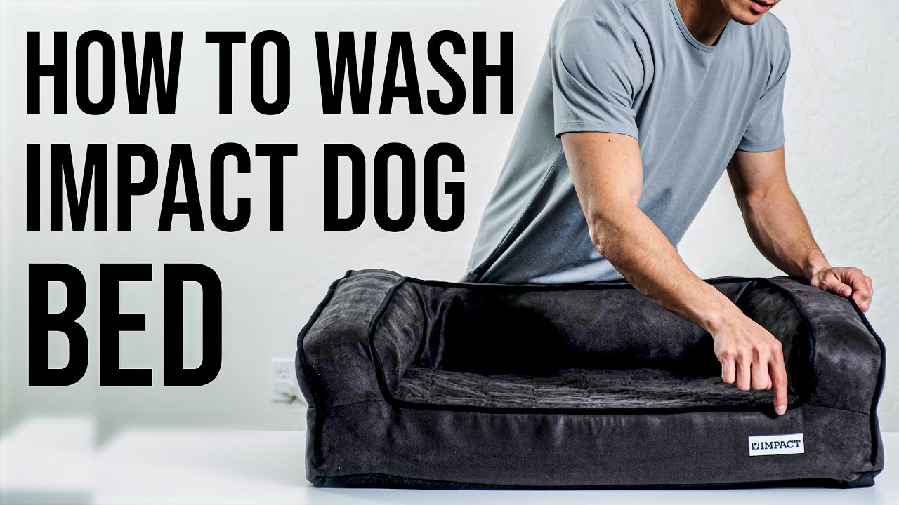 Boots Barkley Dog Bed Washing Instructions At Gary Norris Blog within Easy Steps to Keep Your Dog's Bed Fresh and Hygienic