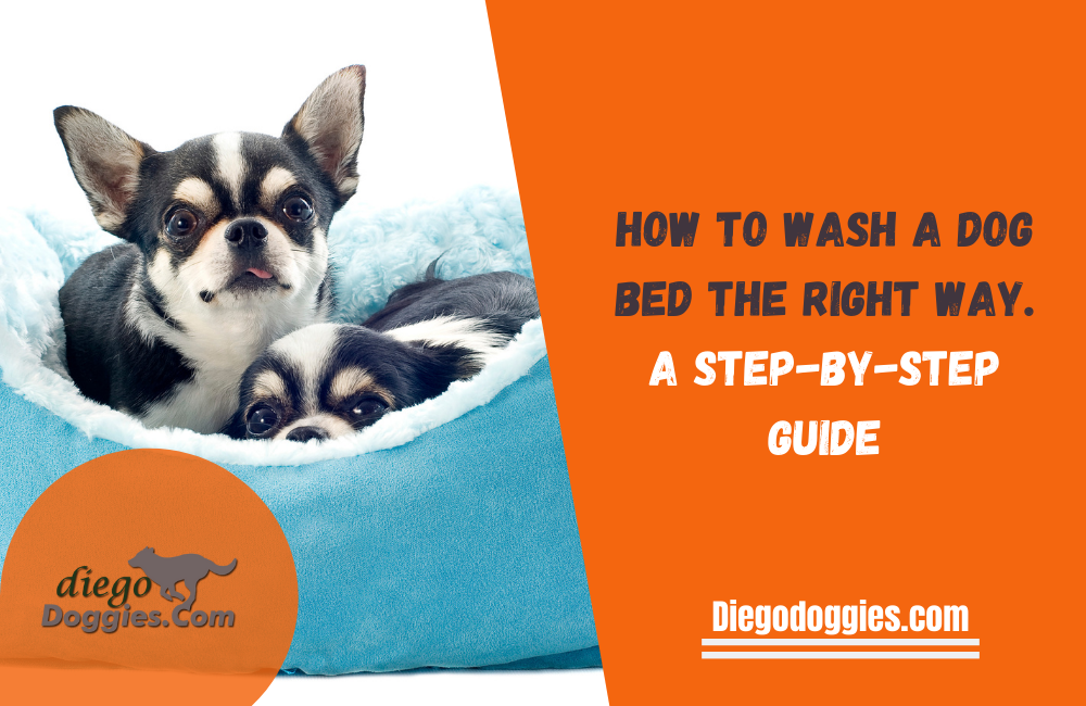 How To Wash A Dog Bed The Right Way: A Step-By-Step Guide regarding How To Wash Dog Bed