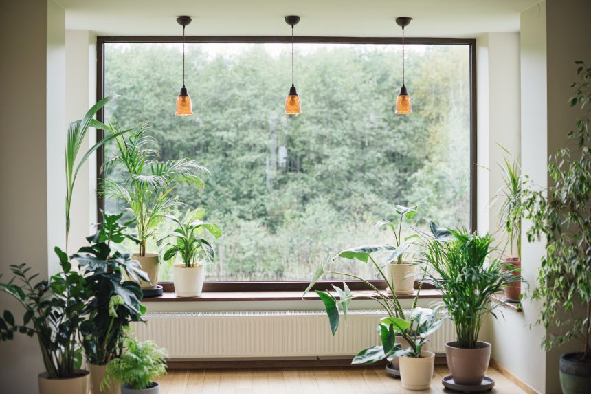 Maximising Natural Light: Transform Your Home With These Design Tips ... intended for How Natural Light Transforms the Feel of a Four Bedroom Contemporary Home
